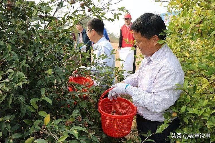 光山火车站最新动态，温馨旅程启程在即