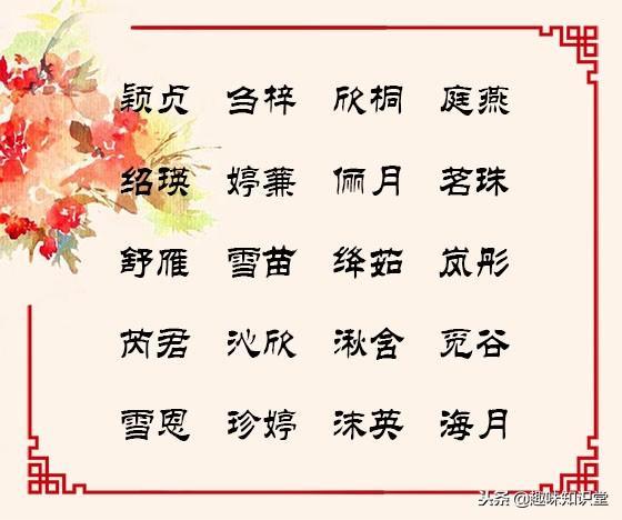 女生名字最新趋势，文化现象深度探讨